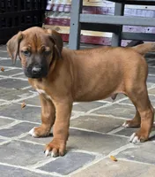 processed/02c02662-b617-423e-9a60-1cd0be6a470a/listing/6c99c651-f491-4d09-a2fe-2a9fae052e96/8aebb54c-14fc-4182-ae57-719c0e13d05d