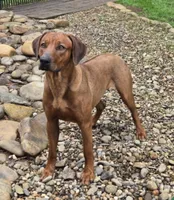 processed/02c02662-b617-423e-9a60-1cd0be6a470a/listing/6c99c651-f491-4d09-a2fe-2a9fae052e96/abb47afb-65fb-43a5-a88c-fbcf2706dc71