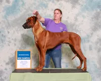 processed/02c02662-b617-423e-9a60-1cd0be6a470a/listing/6c99c651-f491-4d09-a2fe-2a9fae052e96/c0f744a5-bdc5-4cf2-9179-a9d40f016c2c