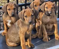 processed/02c02662-b617-423e-9a60-1cd0be6a470a/listing/6c99c651-f491-4d09-a2fe-2a9fae052e96/eef9348f-bc0d-466e-aa5a-b7794d2a716c