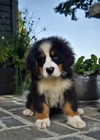 processed/02c02662-b617-423e-9a60-1cd0be6a470a/listing/81650751-e5df-460c-933b-45b88e1be89a/88b2f62a-0c5a-4eeb-b654-71035ac40650