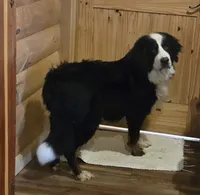 processed/02c02662-b617-423e-9a60-1cd0be6a470a/listing/81650751-e5df-460c-933b-45b88e1be89a/d3bac058-3828-4d42-9eb9-ebc6ddf30c37