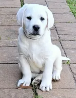 processed/02c02662-b617-423e-9a60-1cd0be6a470a/listing/c16b0c18-8589-408b-97b4-2846b3c44874/79fbda72-e946-4649-9583-28328c649146