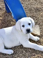 processed/02c02662-b617-423e-9a60-1cd0be6a470a/listing/c16b0c18-8589-408b-97b4-2846b3c44874/883ba92c-3e9f-450e-99fd-92333f81beec