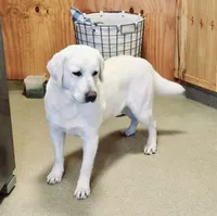 processed/02c02662-b617-423e-9a60-1cd0be6a470a/listing/c16b0c18-8589-408b-97b4-2846b3c44874/89b7c6e2-9148-4015-939f-3a942c2ef287