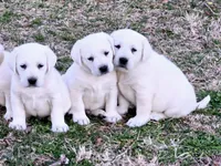 processed/02c02662-b617-423e-9a60-1cd0be6a470a/listing/c16b0c18-8589-408b-97b4-2846b3c44874/a35153ce-a594-42ff-8619-6e65af9322e0