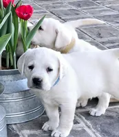 processed/02c02662-b617-423e-9a60-1cd0be6a470a/listing/c16b0c18-8589-408b-97b4-2846b3c44874/abfd5797-0d5c-46b9-8de6-0de697a0039b