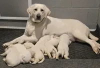 processed/02c02662-b617-423e-9a60-1cd0be6a470a/listing/c16b0c18-8589-408b-97b4-2846b3c44874/bcc88e08-7a57-4835-968f-f30c55f5de68