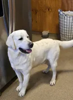 processed/02c02662-b617-423e-9a60-1cd0be6a470a/listing/c16b0c18-8589-408b-97b4-2846b3c44874/cb57fe70-f390-417b-b3e7-c05a718bb8a4