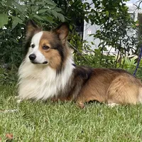 processed/02c48102-4c52-422d-883e-a695c8d747f1/facility/d09fb85b-d8df-412d-94f3-05c00f020b36