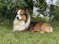 processed/02c48102-4c52-422d-883e-a695c8d747f1/facility/d09fb85b-d8df-412d-94f3-05c00f020b36