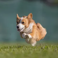 processed/02c48102-4c52-422d-883e-a695c8d747f1/facility/ea27ce0c-7cc6-42cb-88d2-3aa8dbf17eed