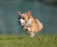 processed/02c48102-4c52-422d-883e-a695c8d747f1/facility/ea27ce0c-7cc6-42cb-88d2-3aa8dbf17eed