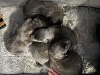 processed/02d75a6d-e801-4e77-af59-c184e5f8c90e/listing/0c9889f6-127f-4065-81ca-8cb9cf24a657/769eb229-e648-4bc5-9f14-db35ff21b24c