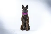 processed/02d75a6d-e801-4e77-af59-c184e5f8c90e/listing/0c9889f6-127f-4065-81ca-8cb9cf24a657/80c7cd0c-cbaa-429b-b8be-f9056214caac