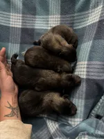 processed/02d75a6d-e801-4e77-af59-c184e5f8c90e/listing/93d1c57d-2b90-4b82-b682-bde0d7536dde/ecc589d0-8cd7-4fb8-8d18-aaa40c4dfb0e