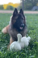 processed/02d75a6d-e801-4e77-af59-c184e5f8c90e/listing/99e38400-0908-4066-9a7a-11a30f5247f5/1deda5f6-74fa-4caa-b946-71881f2bad5f