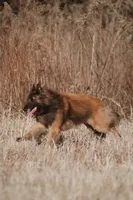 processed/02d75a6d-e801-4e77-af59-c184e5f8c90e/listing/99e38400-0908-4066-9a7a-11a30f5247f5/73a1c1f4-f59e-4bda-837e-176acea4c2e4