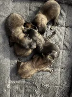 processed/02d75a6d-e801-4e77-af59-c184e5f8c90e/listing/99e38400-0908-4066-9a7a-11a30f5247f5/ce592ed5-13b6-415c-91a1-1e2928e92e8d