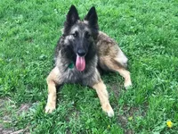 processed/02d75a6d-e801-4e77-af59-c184e5f8c90e/listing/99e38400-0908-4066-9a7a-11a30f5247f5/de8f8c0e-3e59-47b2-8d5d-8dda4a27e0bf