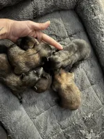 processed/02d75a6d-e801-4e77-af59-c184e5f8c90e/listing/99e38400-0908-4066-9a7a-11a30f5247f5/fe7480f4-efe0-4629-ad8c-aed49ec15fc5