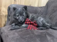 processed/02d75a6d-e801-4e77-af59-c184e5f8c90e/listing/a8a9c162-9ed4-411b-9780-5f50117bb5fa/40f7a1fc-a81d-44dd-995f-c400def8062d