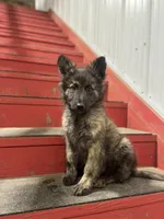 processed/02d75a6d-e801-4e77-af59-c184e5f8c90e/listing/a8a9c162-9ed4-411b-9780-5f50117bb5fa/82e41dbc-5908-493e-bcfe-393ef770499c