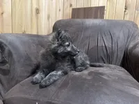 processed/02d75a6d-e801-4e77-af59-c184e5f8c90e/listing/a8a9c162-9ed4-411b-9780-5f50117bb5fa/8407a307-547c-4e2c-a68c-df39a47fc103