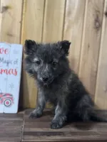 processed/02d75a6d-e801-4e77-af59-c184e5f8c90e/listing/a8a9c162-9ed4-411b-9780-5f50117bb5fa/c4476b1b-6af2-4181-9306-801a30f61bf6