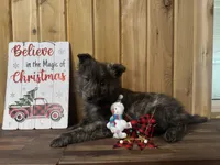 processed/02d75a6d-e801-4e77-af59-c184e5f8c90e/listing/a8a9c162-9ed4-411b-9780-5f50117bb5fa/ebe29835-64ec-44aa-9f6e-db8b86f4183d