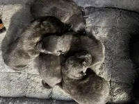 processed/02d75a6d-e801-4e77-af59-c184e5f8c90e/listing/ed2a9676-1370-4cea-a814-37f402aaafc6/51b7422c-ba4e-4fea-ad19-f53b30443ecd