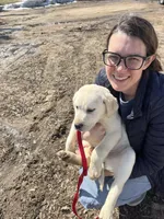 processed/02d76877-747e-4d47-adc7-c39752a7f585/facility/0d947e05-29bf-4744-8292-22975dafe364