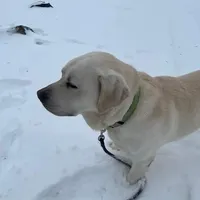 processed/02d76877-747e-4d47-adc7-c39752a7f585/facility/9a33a8dc-f8e1-4257-86c8-b9c4375d7525