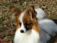 processed/02d7c477-3ec5-4a25-b39c-6d3dce4677d7/facility/27f6caf1-6299-4668-8443-d36a6e23397b