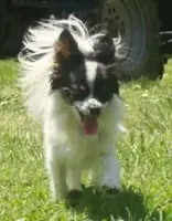 processed/02d7c477-3ec5-4a25-b39c-6d3dce4677d7/facility/33f1c090-cd3f-4477-ada6-4fba7ca96024