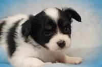 processed/02d7c477-3ec5-4a25-b39c-6d3dce4677d7/facility/56721df4-15d9-4eaf-951b-f7eb5591b5c4