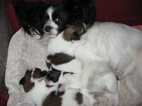 processed/02d7c477-3ec5-4a25-b39c-6d3dce4677d7/facility/b2ee8ce6-b4f1-48d2-b11d-f27bc4c4e159