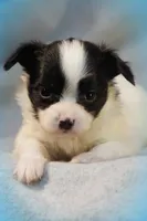 processed/02d7c477-3ec5-4a25-b39c-6d3dce4677d7/facility/e261846f-80db-4482-ab4e-019ee5cdc3c0