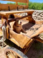 Purple , a male Golden Retriever for sale in Tucson, AZ – Photo 2 of 3