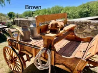 Brown, a female Golden Retriever for sale in Tucson, AZ – Photo 2 of 3