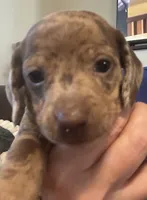 processed/02dc4695-632b-46bf-953d-a8fe5e615771/listing/623e779e-c647-43de-a068-76b1680bf51b/282bb3ae-2f05-463a-a8d6-194b8113b6ab