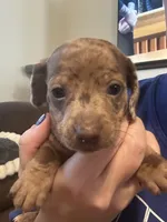 processed/02dc4695-632b-46bf-953d-a8fe5e615771/listing/623e779e-c647-43de-a068-76b1680bf51b/ad63b7f7-7c2e-4b76-89e4-a3c3e09b3c10