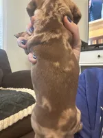 processed/02dc4695-632b-46bf-953d-a8fe5e615771/listing/623e779e-c647-43de-a068-76b1680bf51b/c343bd53-acb1-4b02-b532-b02929a58b90