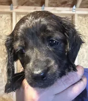 processed/02dc4695-632b-46bf-953d-a8fe5e615771/listing/9ca61a1f-f958-41aa-a8da-bc90d3628d4e/2a4fe3e4-292e-48e3-9dd5-b6ca516c8e92