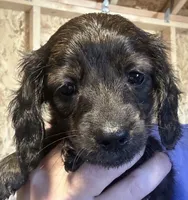 processed/02dc4695-632b-46bf-953d-a8fe5e615771/listing/9ca61a1f-f958-41aa-a8da-bc90d3628d4e/81fc6eda-f844-49a6-b060-fb2d610b4fe1