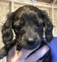 processed/02dc4695-632b-46bf-953d-a8fe5e615771/listing/9ca61a1f-f958-41aa-a8da-bc90d3628d4e/8d560095-1a83-47ee-bd5e-3152ec538194