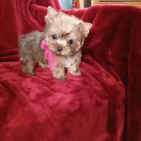 processed/02e6782e-1c74-444b-b037-c1aea849d994/facility/5feb89f1-6e37-4bd2-90a7-a9c2adc04419