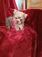 processed/02e6782e-1c74-444b-b037-c1aea849d994/facility/5feb89f1-6e37-4bd2-90a7-a9c2adc04419