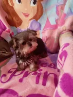 processed/02e6782e-1c74-444b-b037-c1aea849d994/facility/72ebd2b4-b151-4c9e-b898-e572d1c2b56a