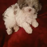 processed/02e6782e-1c74-444b-b037-c1aea849d994/facility/989d2b7f-28e2-44b4-b294-5f026161ef9b